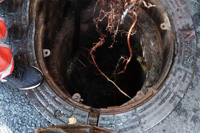 莲花管道预处理